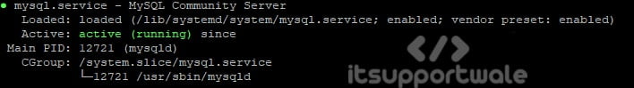 mysql-server-status.jpg