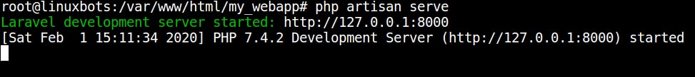 start-laravel-in-development-mode