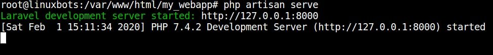 start-laravel-in-development-mode
