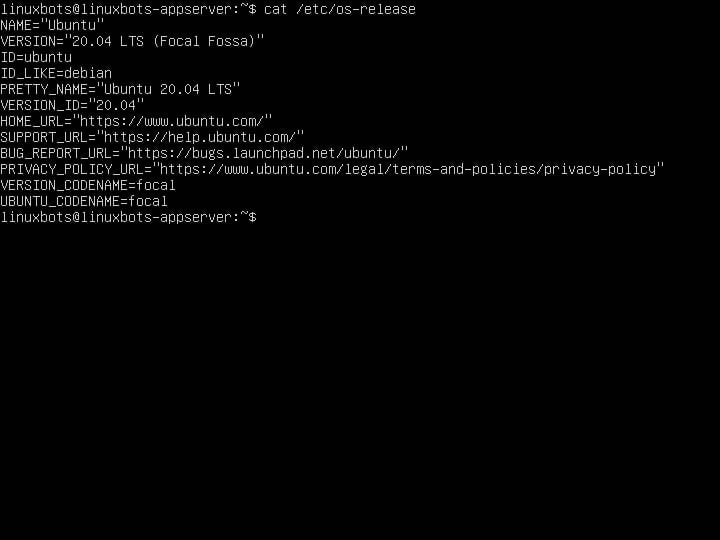 logged-in-into-Ubuntu-20.04-server-1